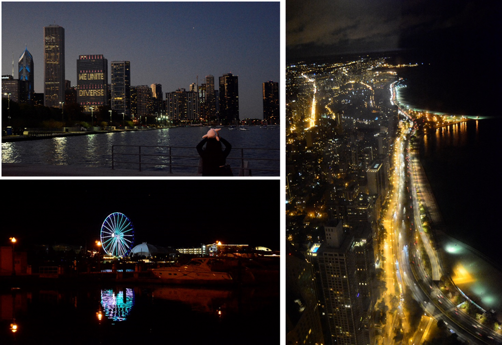 谢德水族馆外天际线，海军码头摩天轮，360度芝加哥湖滨 Lake Shore Drive