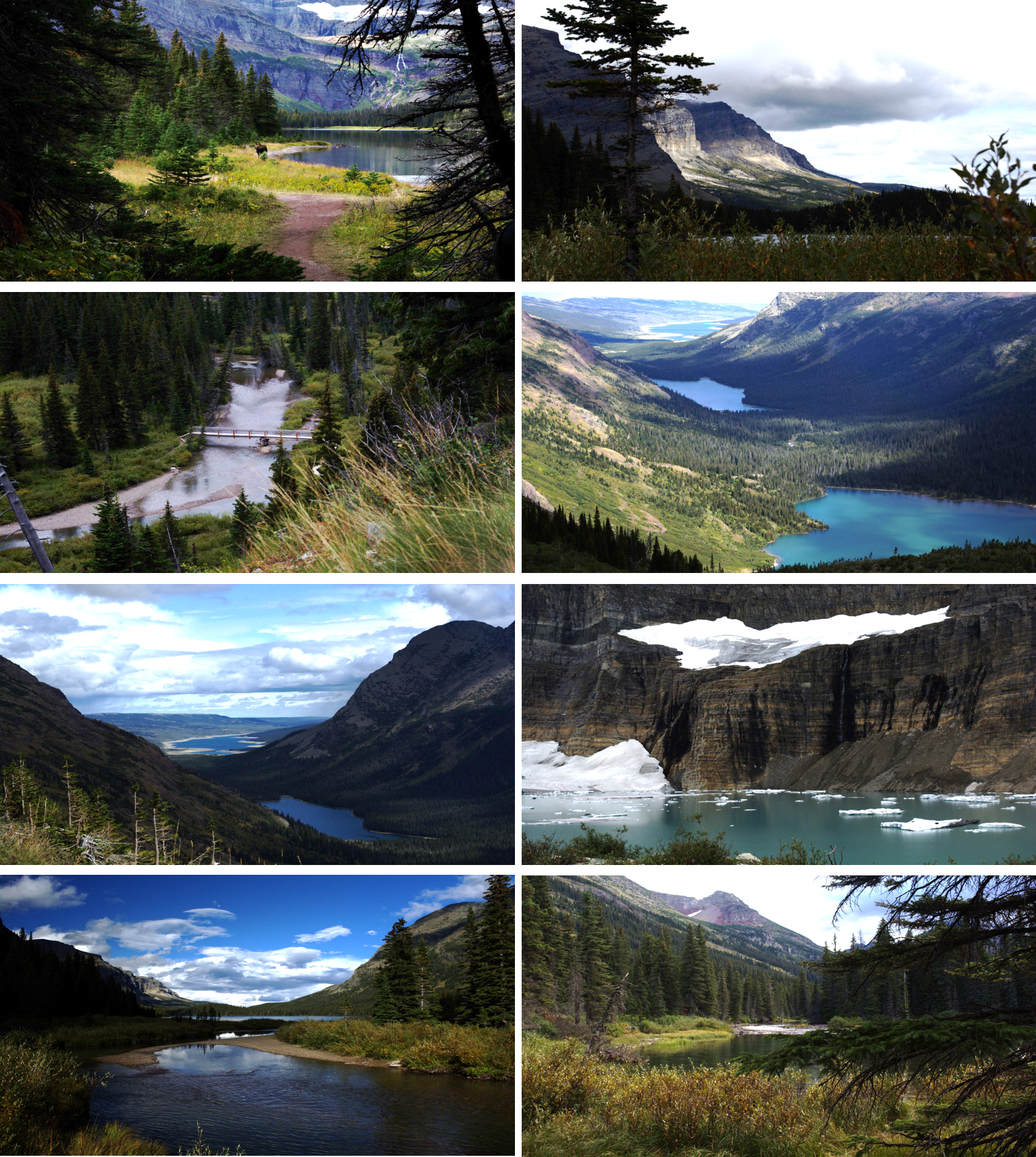Swiftcurrent lake 遇到麋鹿；远山；后半程登山时望到的溪流和木桥；Grinnell lake 和 Josephine lake；Swiftcurrent lake 和 Josephine lake-转角又能望到你；Grinnell 冰川；回程的溪流；回程的 Swiftcurrent lake