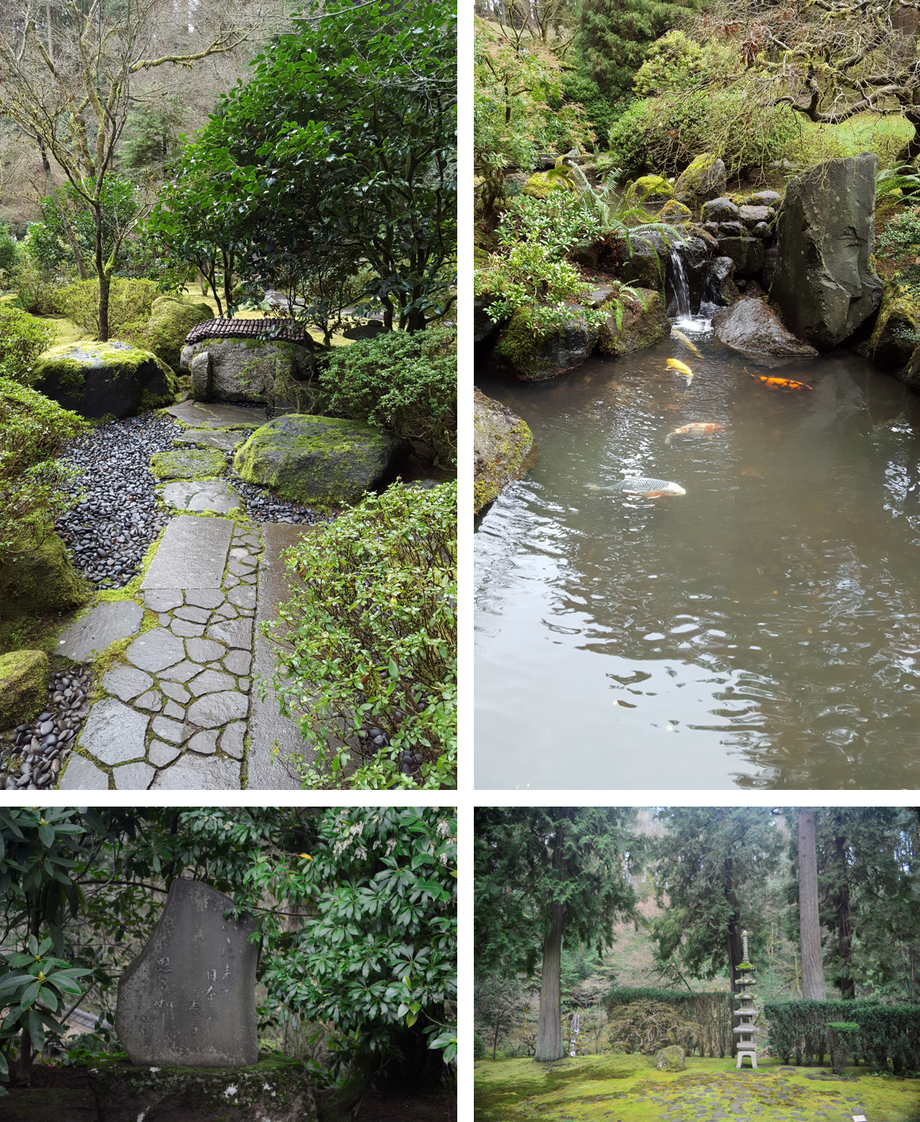 补拍的石径书卷；池塘鲤鱼；石刻；石塔