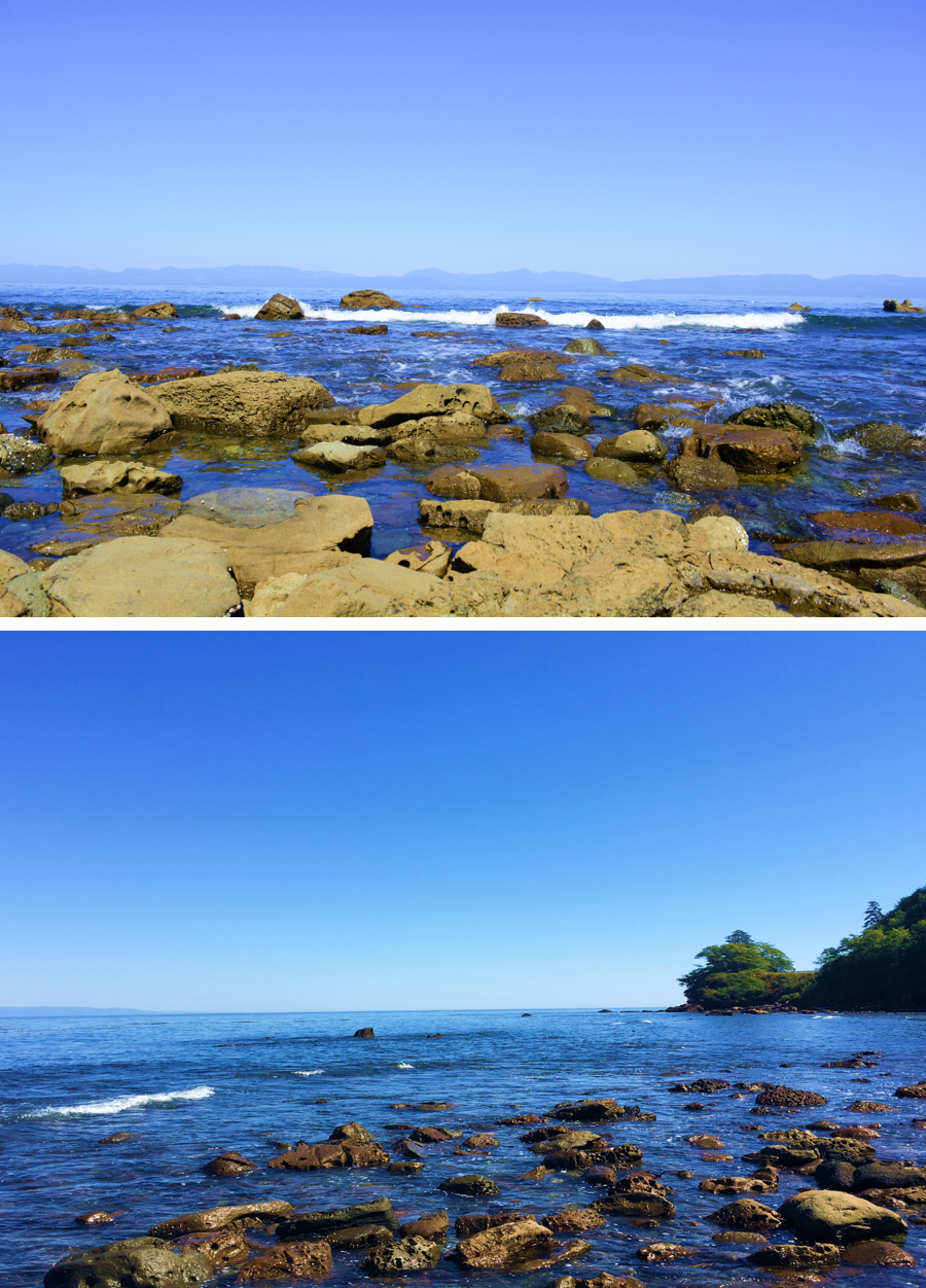Neah bay 海岸礁石