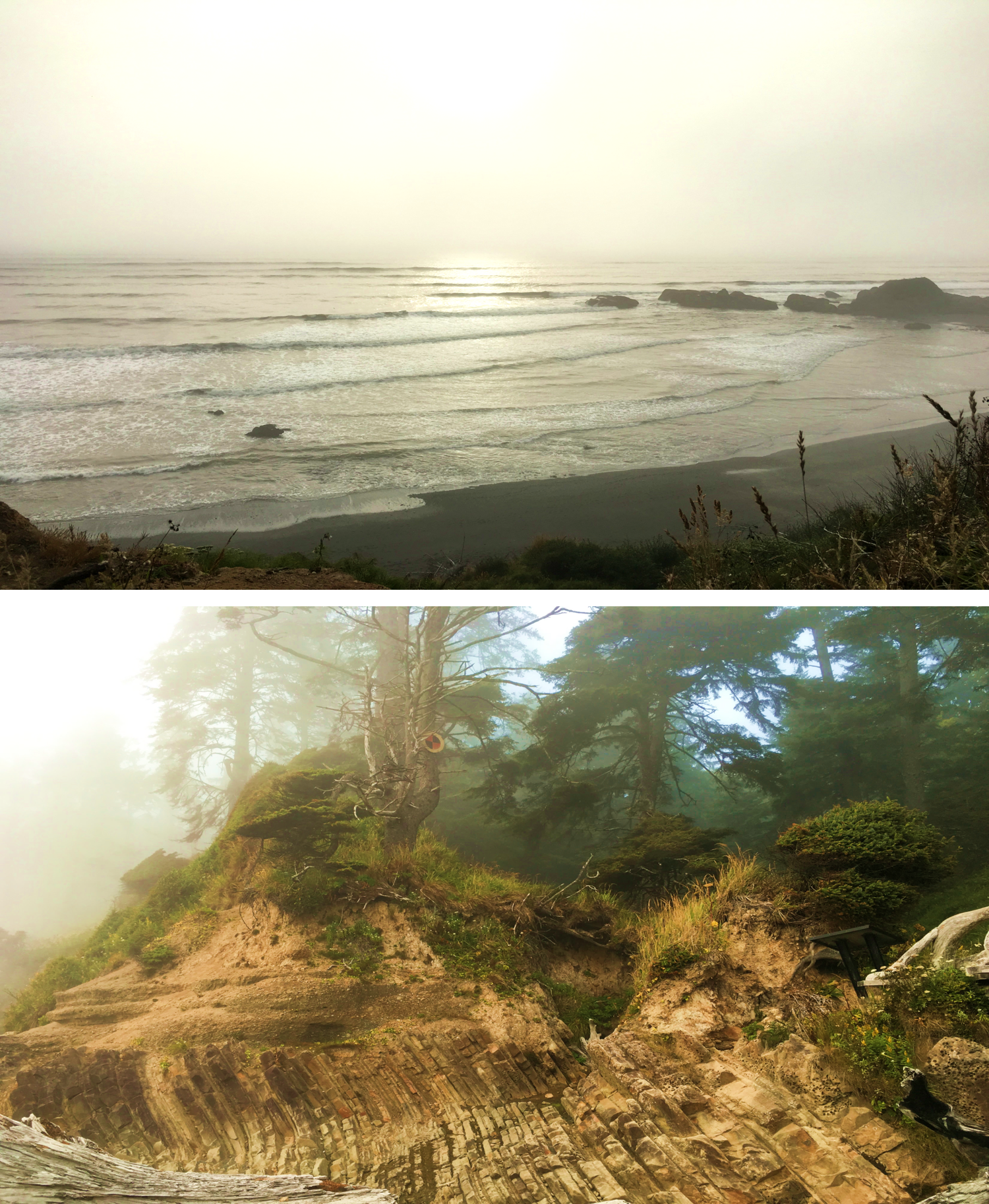 卡拉洛奇海滩 Kalaloch Beach 4