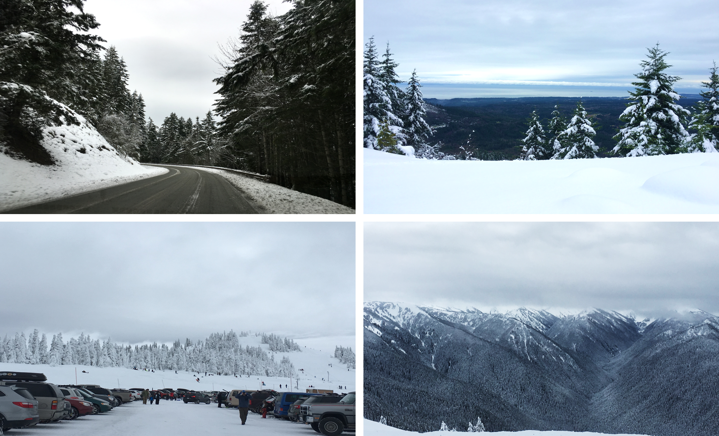 飓风岭 Hurricane Ridge，眺望的奥林匹克群山
