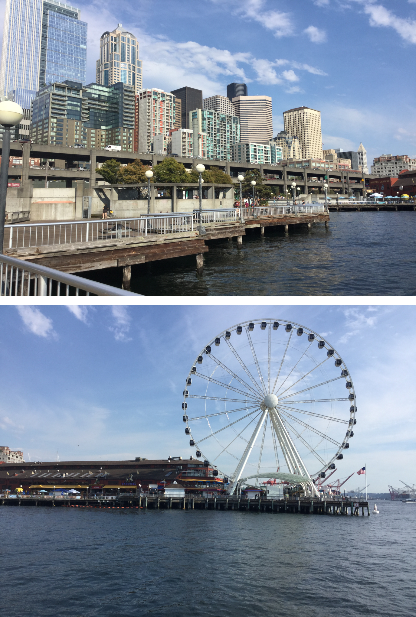临海摩天楼；海滨摩天轮