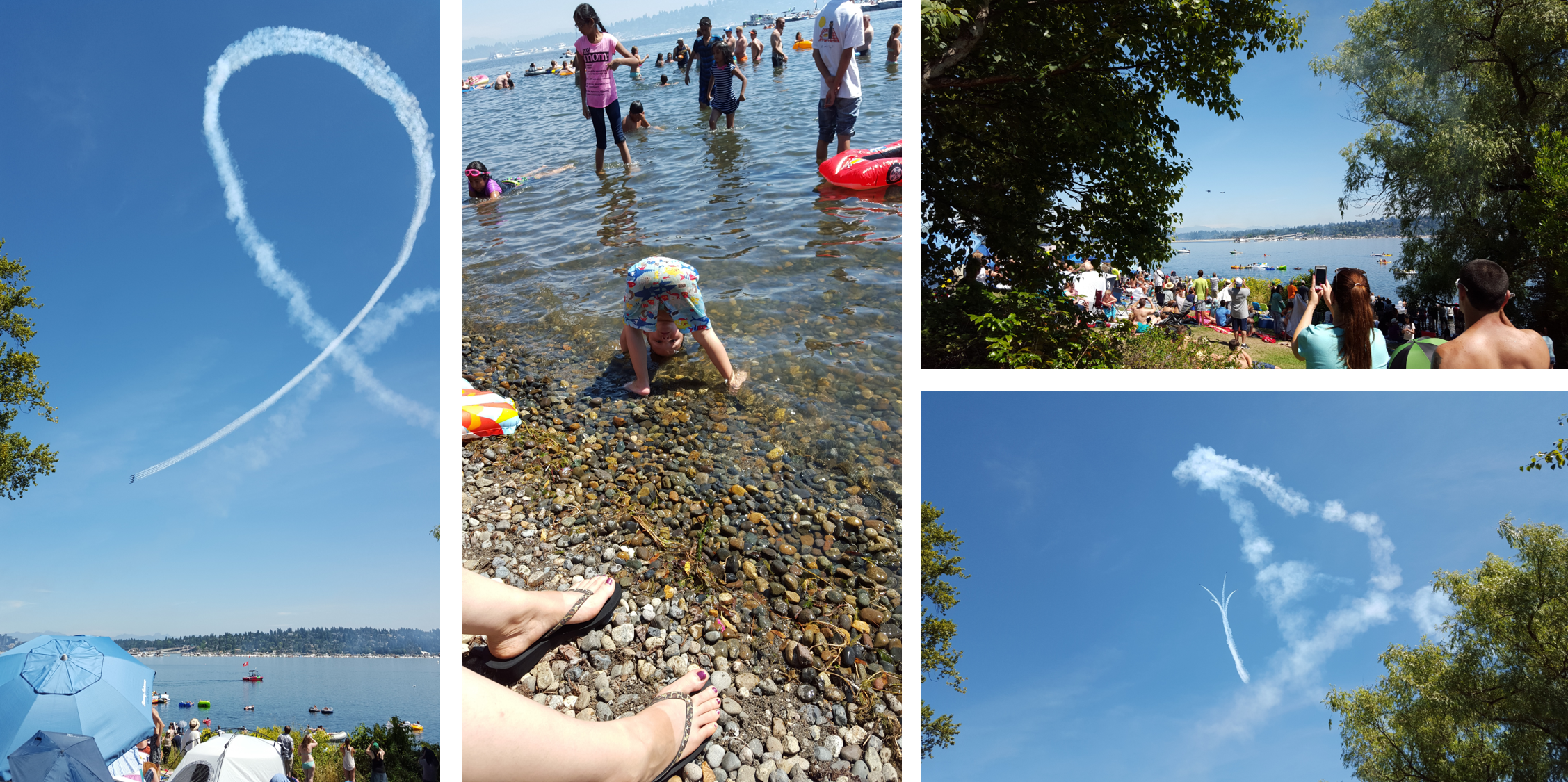 Calman Park 的 Sea fair