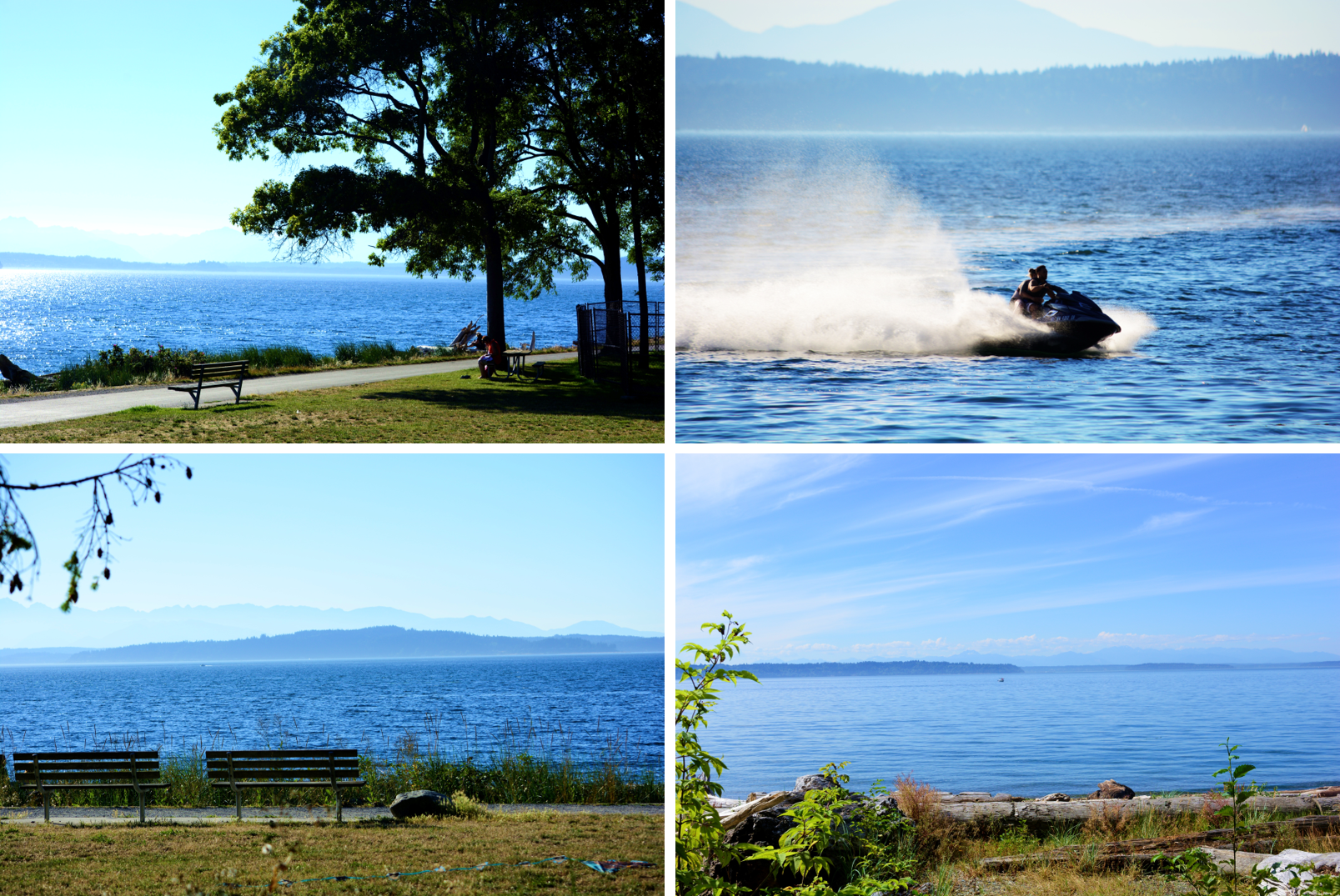 Alki 海滩 和 Lincoln 海滩的夏季
