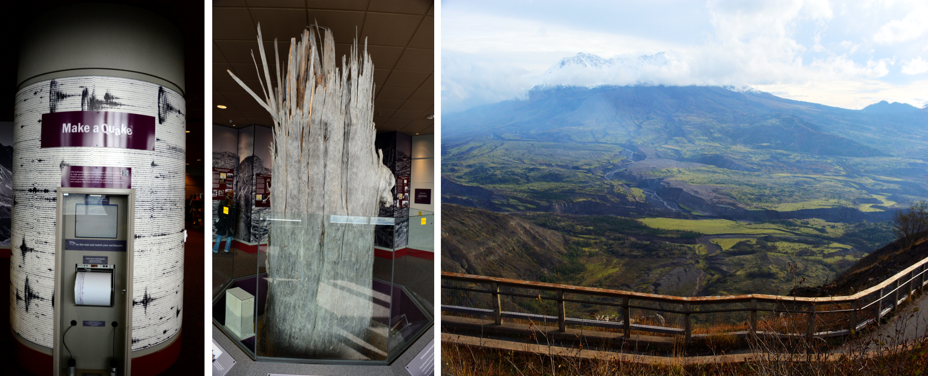 Johnston Ridge 观景点内地震仪；火山喷发遗留的树木残骸；Johnston Ridge 步道远望火山地貌