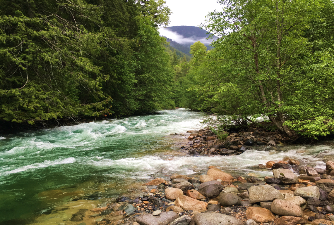 北瀑布国家公园 North Cascade 瀑布溪流